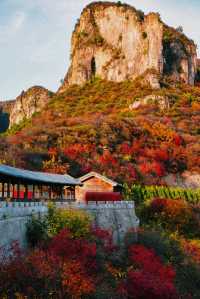 可能是莊裡最輕鬆的賞紅葉方式了定位：平山沕沕水空中畫