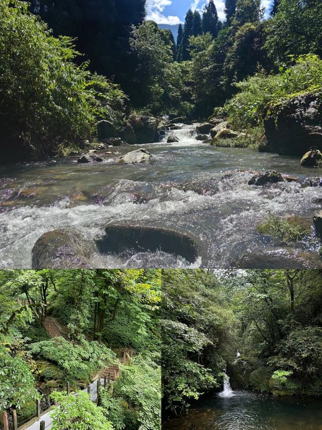 瓦屋山｜“人間天台，最美桌山”