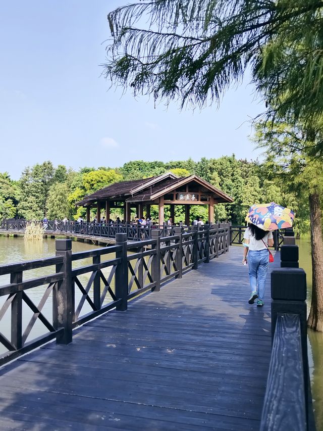 廣州海珠湖：休閒健步/觀景打卡的好去處！