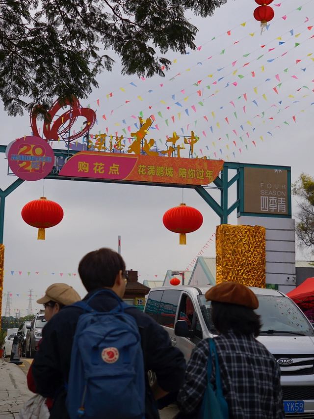 深圳年味 | 要過年啦，總要逛一趟花市吧~