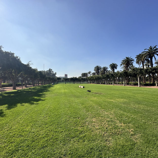 Wander around Casablanca البيضاء المسافرين