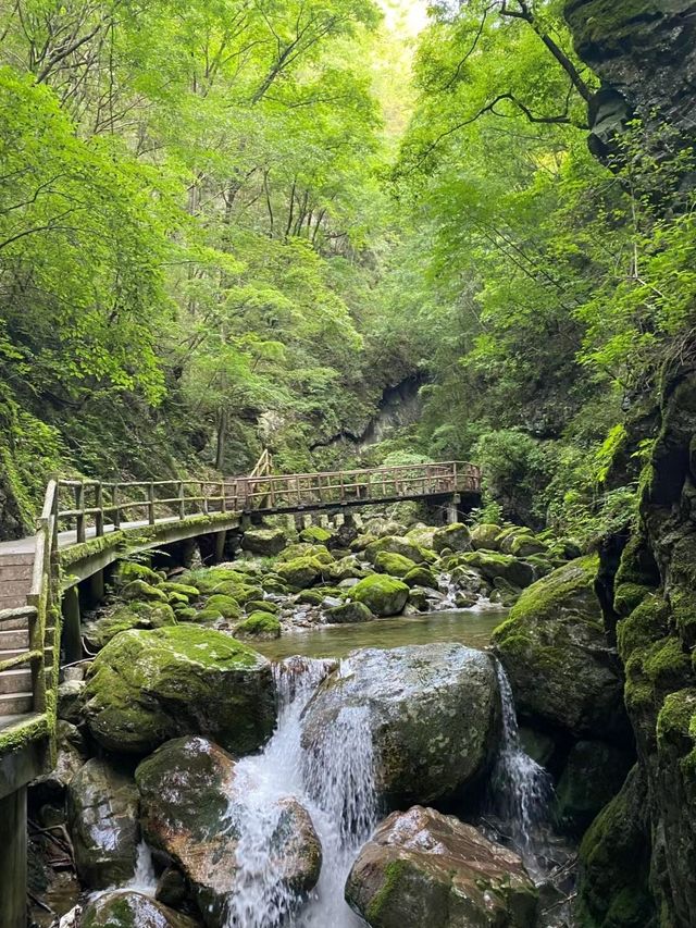 不如一起去徒山 | 牛背梁一日遊