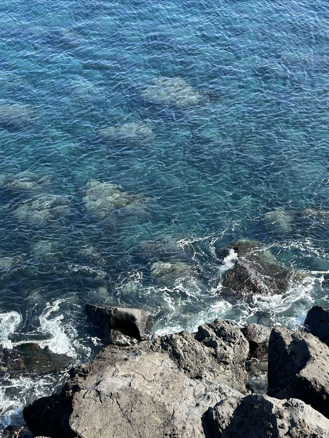在濟州島真的能看到不同藍色的海！！