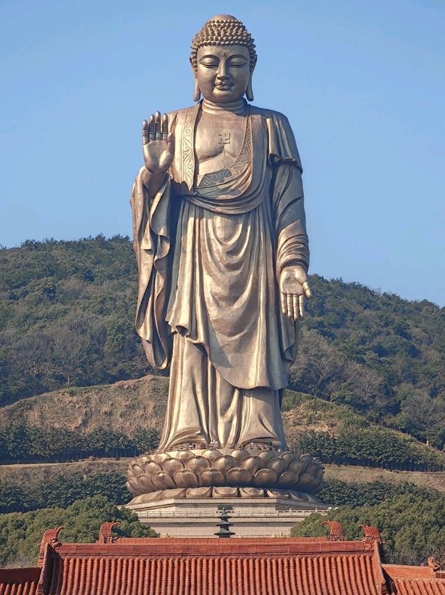 Giant That Touches Heavens | Lingshan 