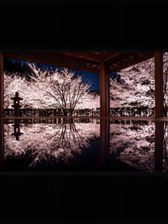 京都可愛すぎる！桜の絶好の撮影スポットはここにあります！