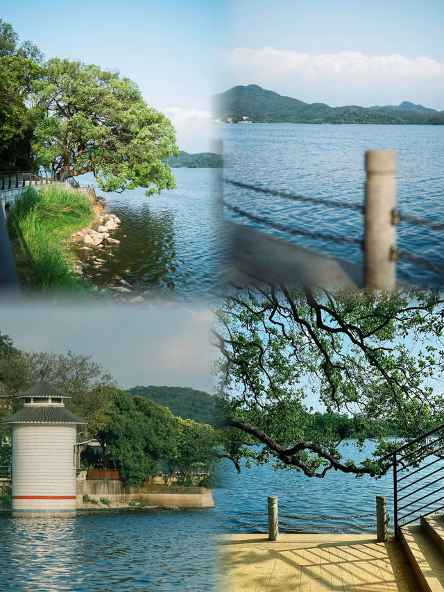 東莞“小洱海”：自然與休閒的完美融合