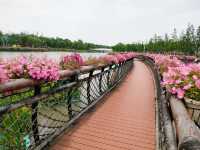 誰還沒有去過上海浦江郊野公園（奇迹花園）呢