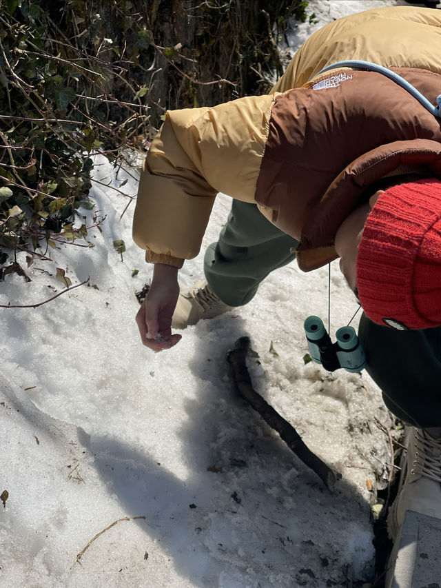 不虛此行「天門山」，人間一趟一定要帶娃一起來看看祖國大好河山