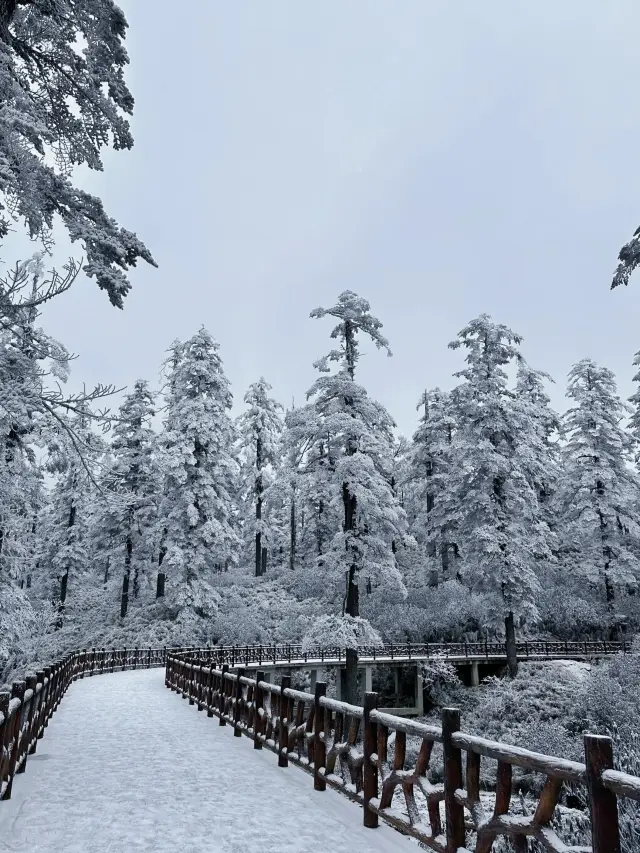 四川·瓦屋山｜不是瑞士去不起，而是瓦屋山更具性價比