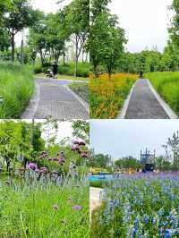 休閒好去處——上海桃浦中央綠地