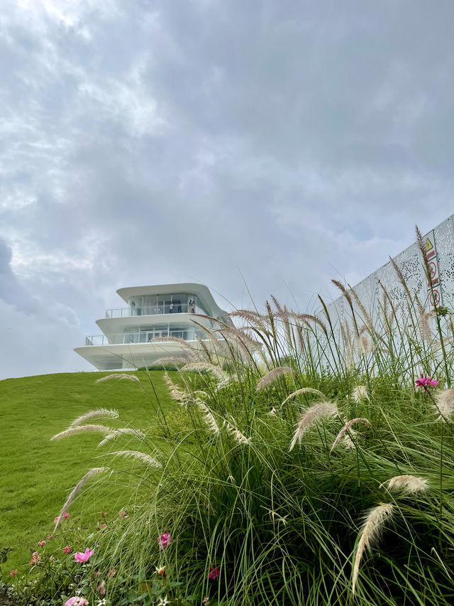 深圳雲海山景半日遊出行攻略