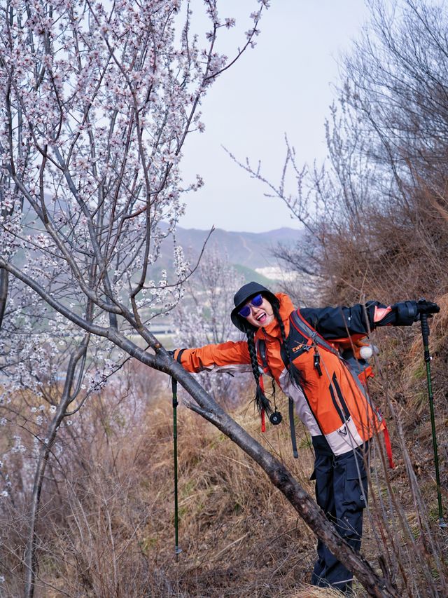 北京徒步踏青賞花無難度路線｜醜兒嶺
