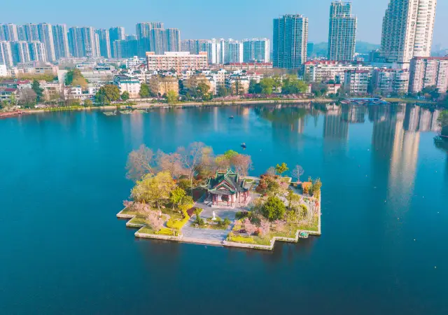 南京賞花|莫愁湖公園春日裡的浪漫時刻