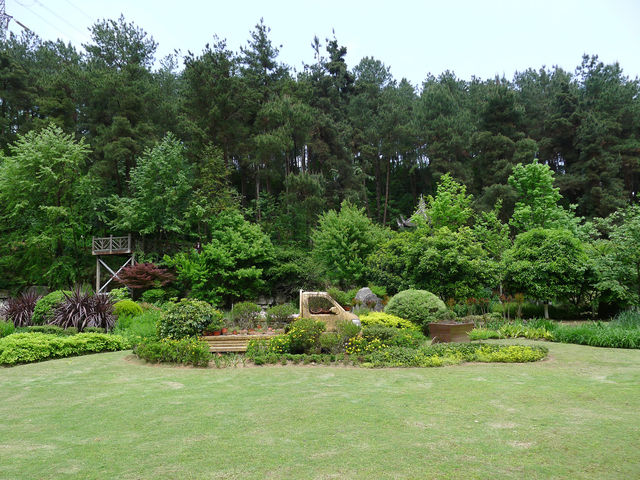 鮮花山谷——登高雲山·雲谷花境