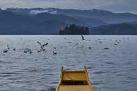 11月的泸沽湖最美星空、晨雾、海鸥值得擁有