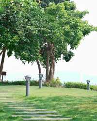 深圳女娲海濱公園/赴一場“花”“海”之約