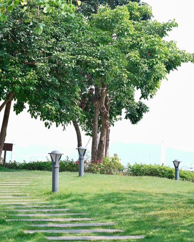 深圳女娲海濱公園/赴一場“花”“海”之約