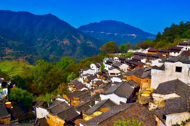 ทะเลดอกหมากเทศใน Wuyuan: การเดินทางชนบทที่สวยงามในวันฤดูใบไม้ผลิ