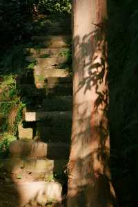 我莫約是來到了「行雲小院」【與鳳行】