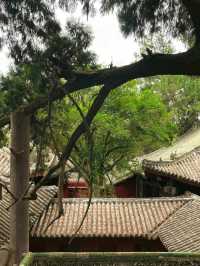 綿陽·大廟