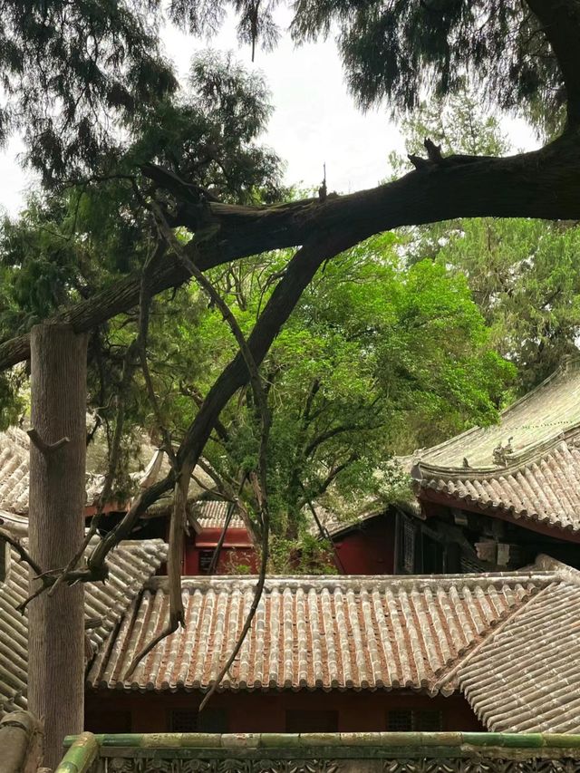 綿陽·大廟
