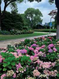 遇見綠島公園，城市中的童話世界
