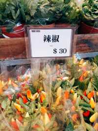 春日鮮花開滿街 | in旺角花墟