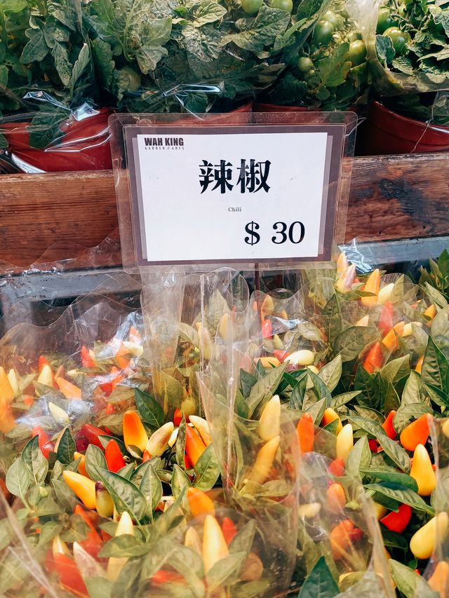 春日鮮花開滿街 | in旺角花墟