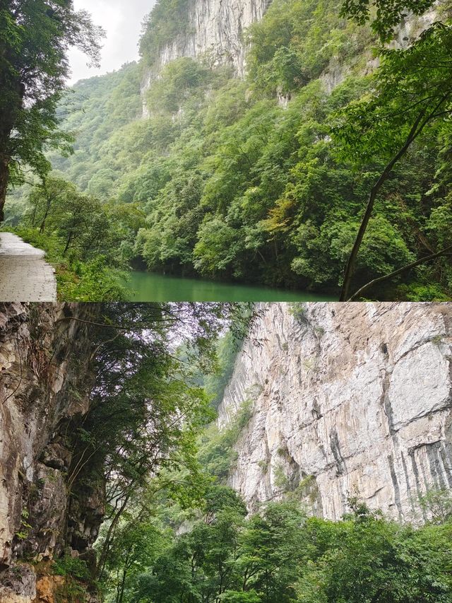 貴陽丨快看•我找到了現實世界的綠野仙踪
