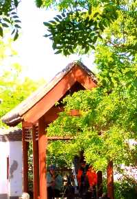 園博園 春及園