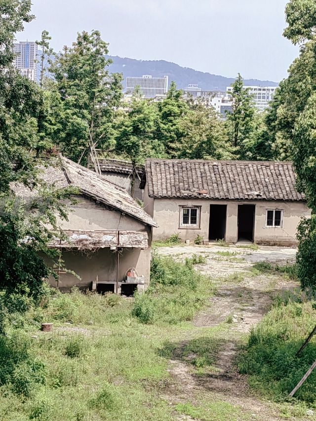 寧波彌勒道場｜奉化嶽林禪寺