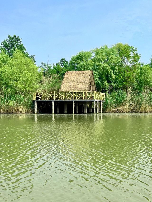焦岗湖