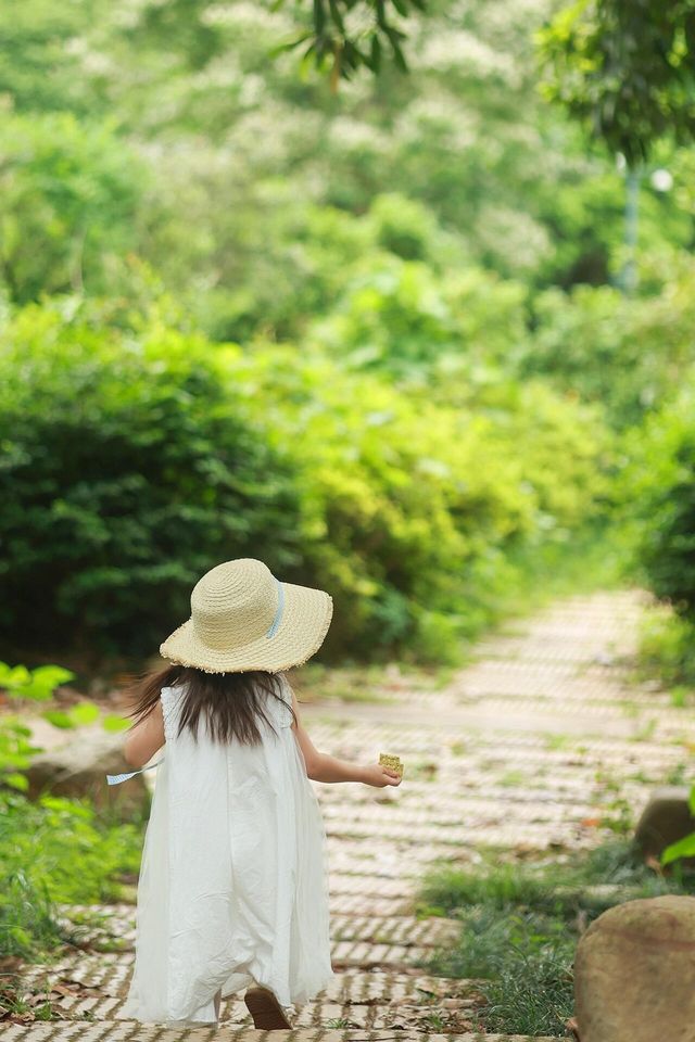 長沙夏天也能賞花這3個地方能遛娃還出片