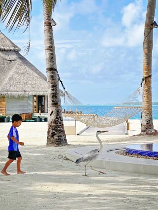 Maldives Conrad Hotel Double Island Resort is so much fun~ It is very suitable for family trips and couple vacations