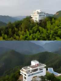 懸崖之巔的寶藏民宿，盡享茶園雲海養