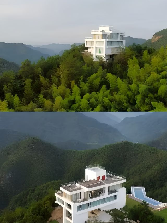 懸崖之巔的寶藏民宿，盡享茶園雲海養