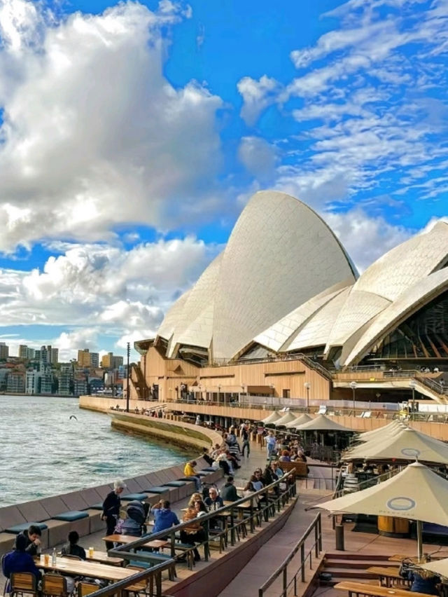 Sydney Harbour & Opera House 🇦🇺