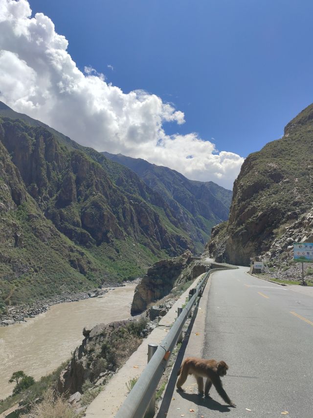 西藏終於不再是遠方! 西藏終於不再是遠方!