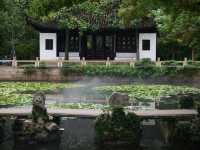 雨後漫步，夏日古典園林景觀大賞