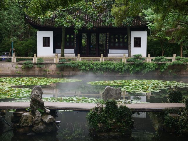 雨後漫步，夏日古典園林景觀大賞