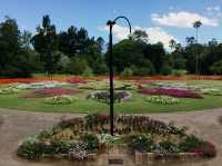 Beautiful City Botanic Gardens Brisbane 🌺🌳