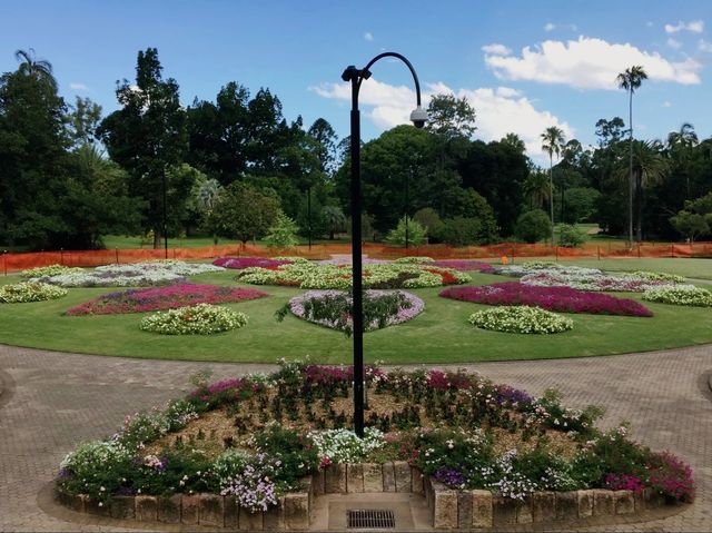 Beautiful City Botanic Gardens Brisbane 🌺🌳