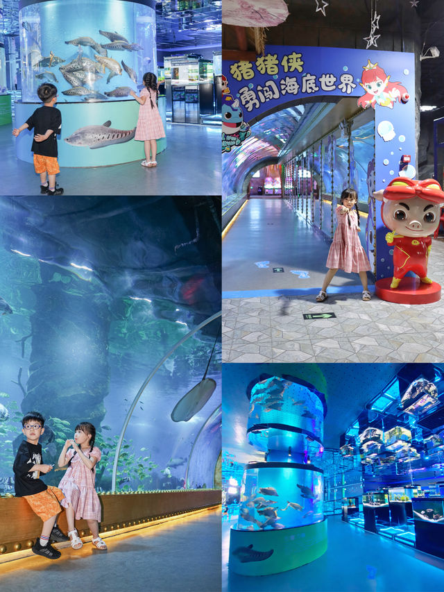 東莞海立方神秘海洋世界廣東周邊親子遊