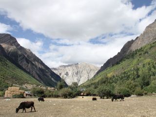 Midui Glacier, one of the six most beautiful glaciers in China