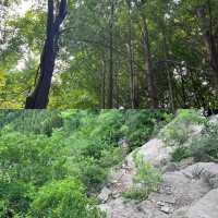 溜達好去處～淮北相山打卡