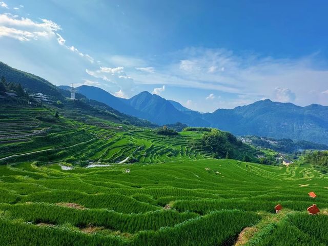 心心念念的麗水雲和梯田