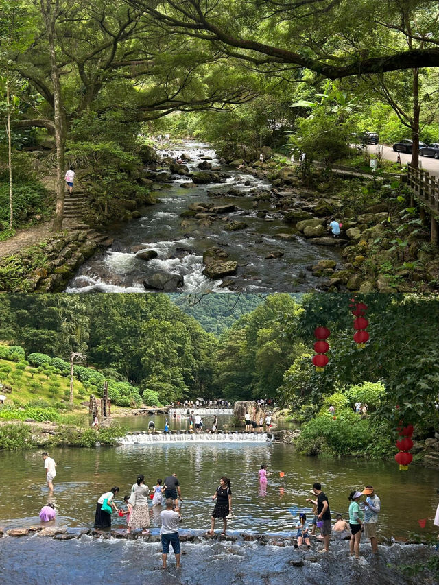 不用去貴州！廣州就有絕美的綠寶石森林公園