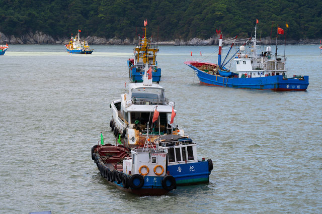 浙江舟山樟州渔村旅行记