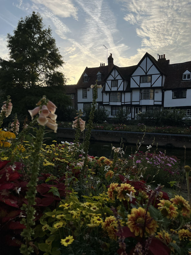 Canterbury is a small town in UK 🇬🇧 check out the nature 🩷