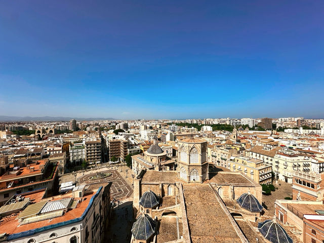 A Panoramic Feast for the Eyes 🤩